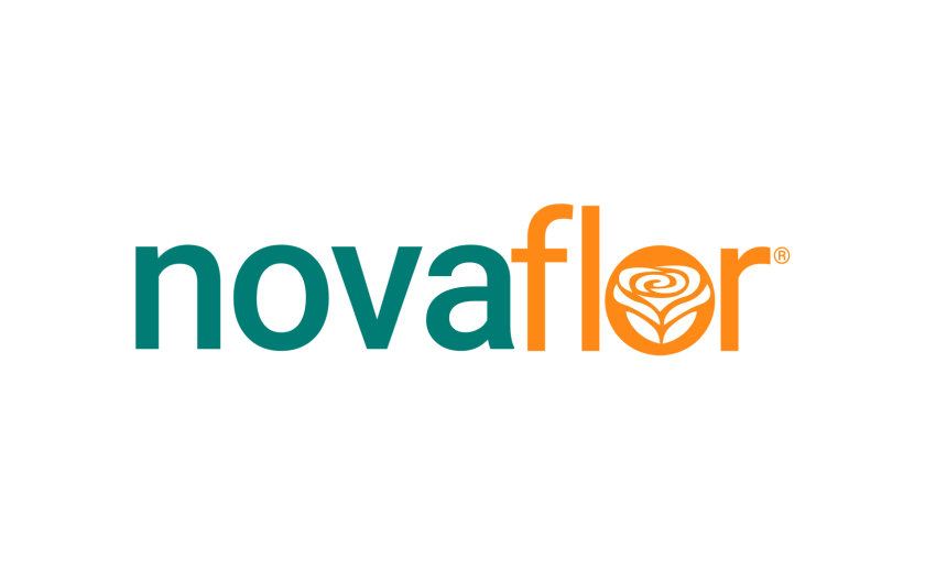 Nova Flor